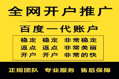 网站sem托管案例分享：如何精准投放广告